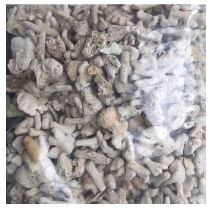 Karang Jahe 5Kg Media Filter Aquarium Kolam Aquascape - gambar 1
