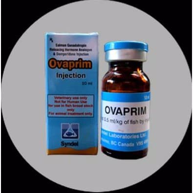 Ovaprim Hormon Ikan — gambar 1