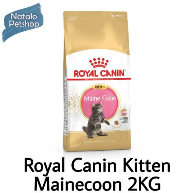 Royal Canin Kitten Mainecoon Maine Coon 2kg — gambar 1
