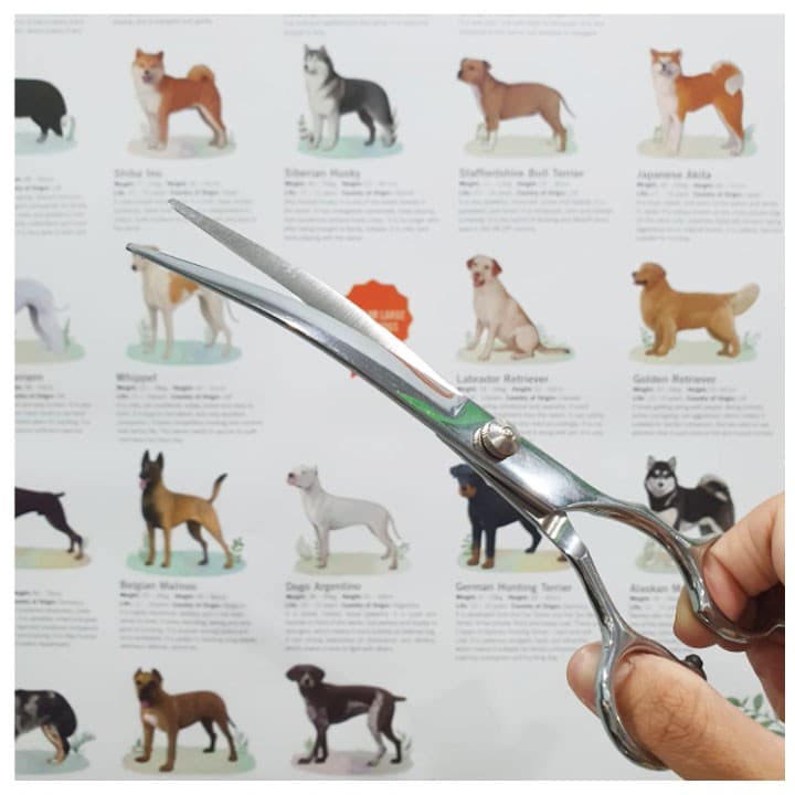 M-Pets Hairdo Grooming Steel Curved Scissors/Gunting Bengkok Potong — gambar 1