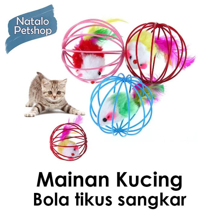 Mainan Bola Tikus Dalam Sangkar / Kucing Lucu Happy / Hewan