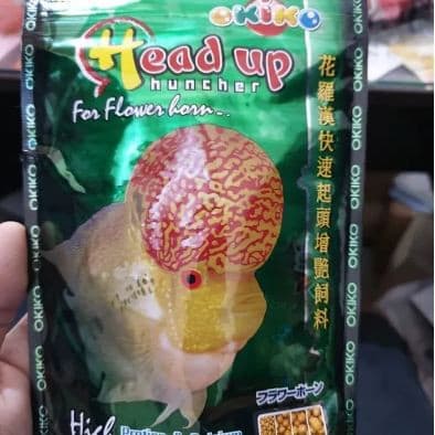 Okiko Head Up Huncer — gambar 1