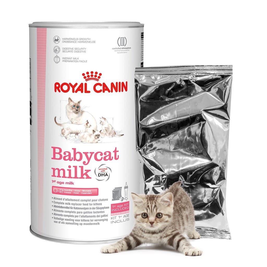 Royal Canin Baby Cat Milk 100g Susu Anak Kucing per Pack Ecer — gambar 1