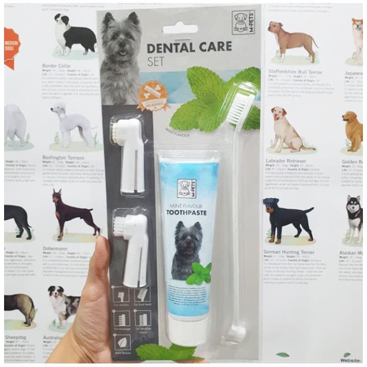 Sikat Gigi Odol Anjing Kucing M-Pets Dental Care Set MINT Flavor - gambar 1