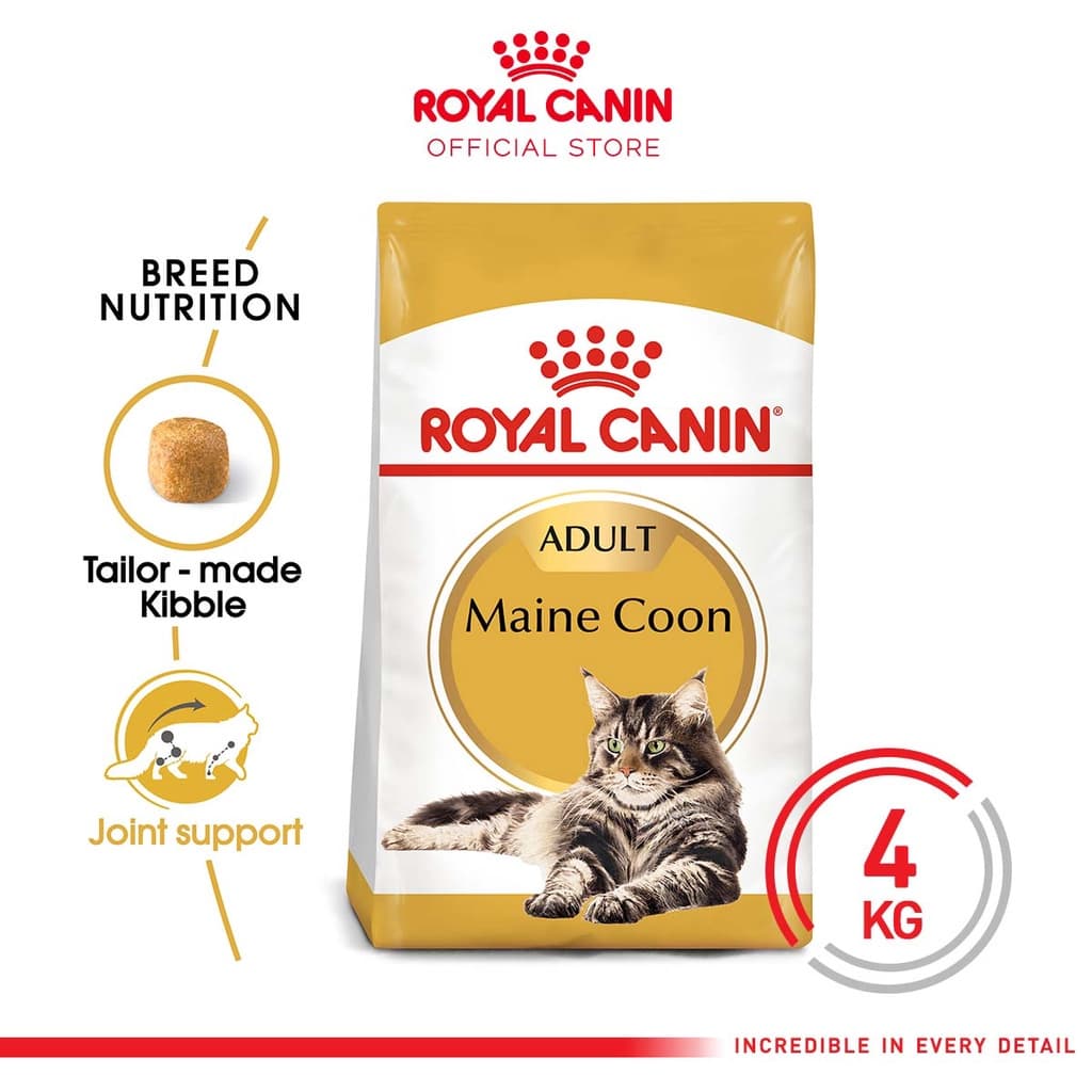 Royal Canin Maine Coon Adult 4kg Mainecoon Makanan kucing Dry Cat Food — gambar 1