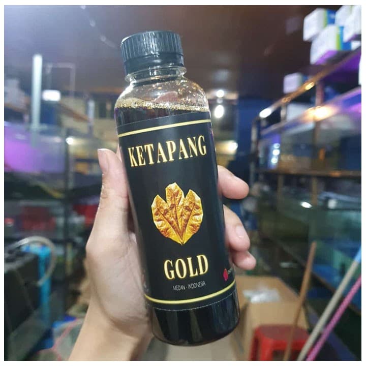 Extrak daun Ketapang Perawatan Terbaik Ikan cupang murah - gambar 1