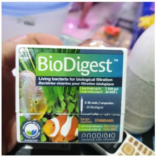 Prodibio BioDigest Living Bacteria 1 Vial — gambar 1