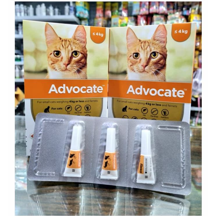 Advocate Small Cat 0 - 4kg Kitten Obat Kutu Kucing Harga Per Tube — gambar 1