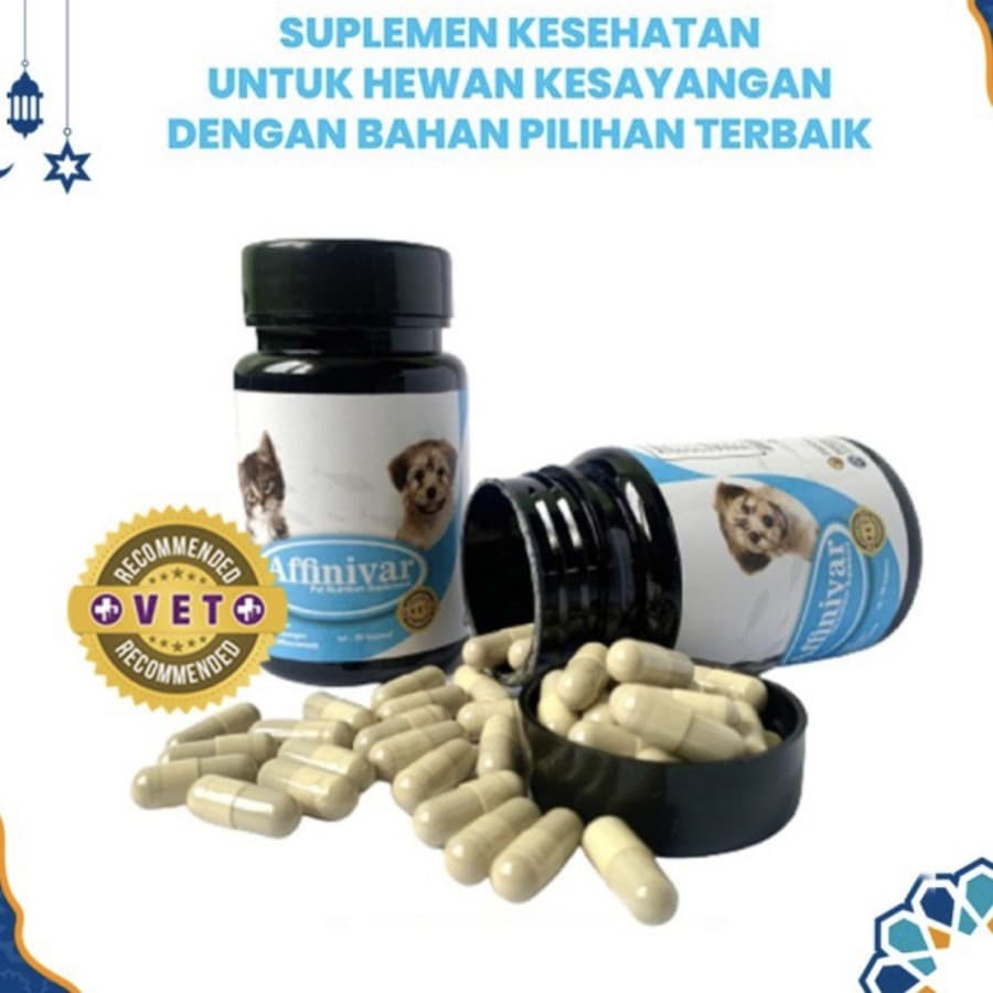 Affinivar Supplement Kesehatan & Nafsu Makan Kucing Anjing - gambar 1
