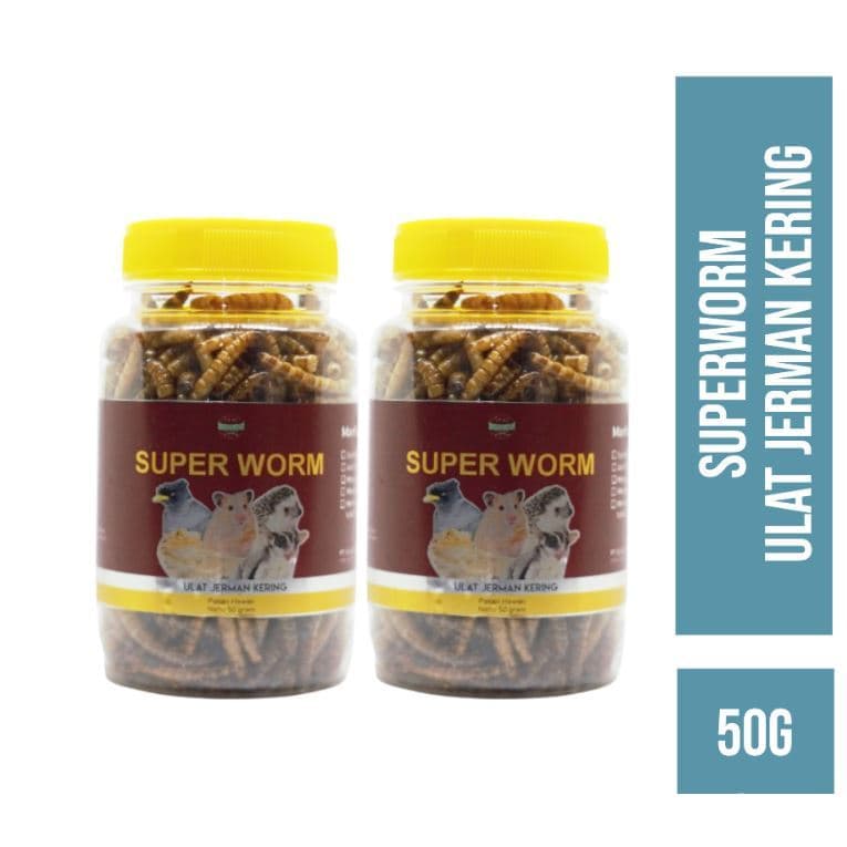 Super Worm 50g Ulat Jerman Kering Dried Insect Makanan Cemilan — gambar 1
