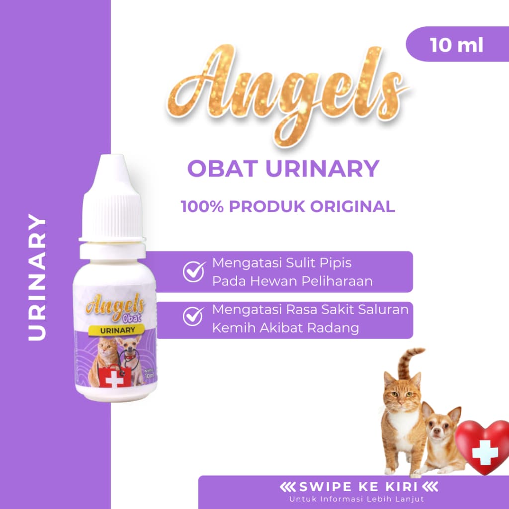 ANGELS Obat Tetes Urinary 10ML Hewan Kucing Anjing Sakit Saluran Kemih - gambar 1