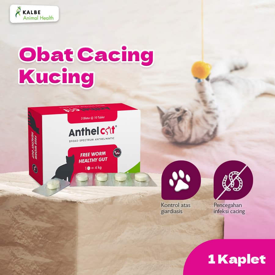 Anthel Cat 1 Tablet — gambar 1