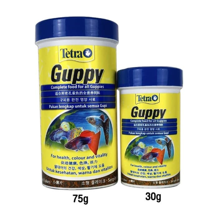 Tetra Guppy — gambar 1