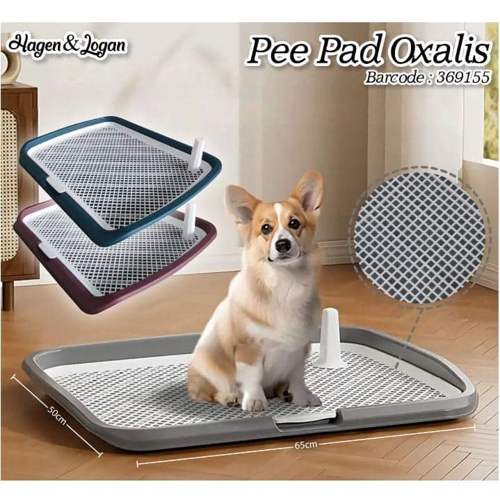 Pee Pad Oxalis — gambar 1