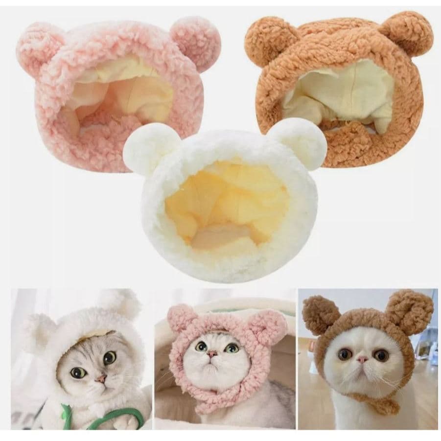 Bando Hewan Kucing — gambar 1