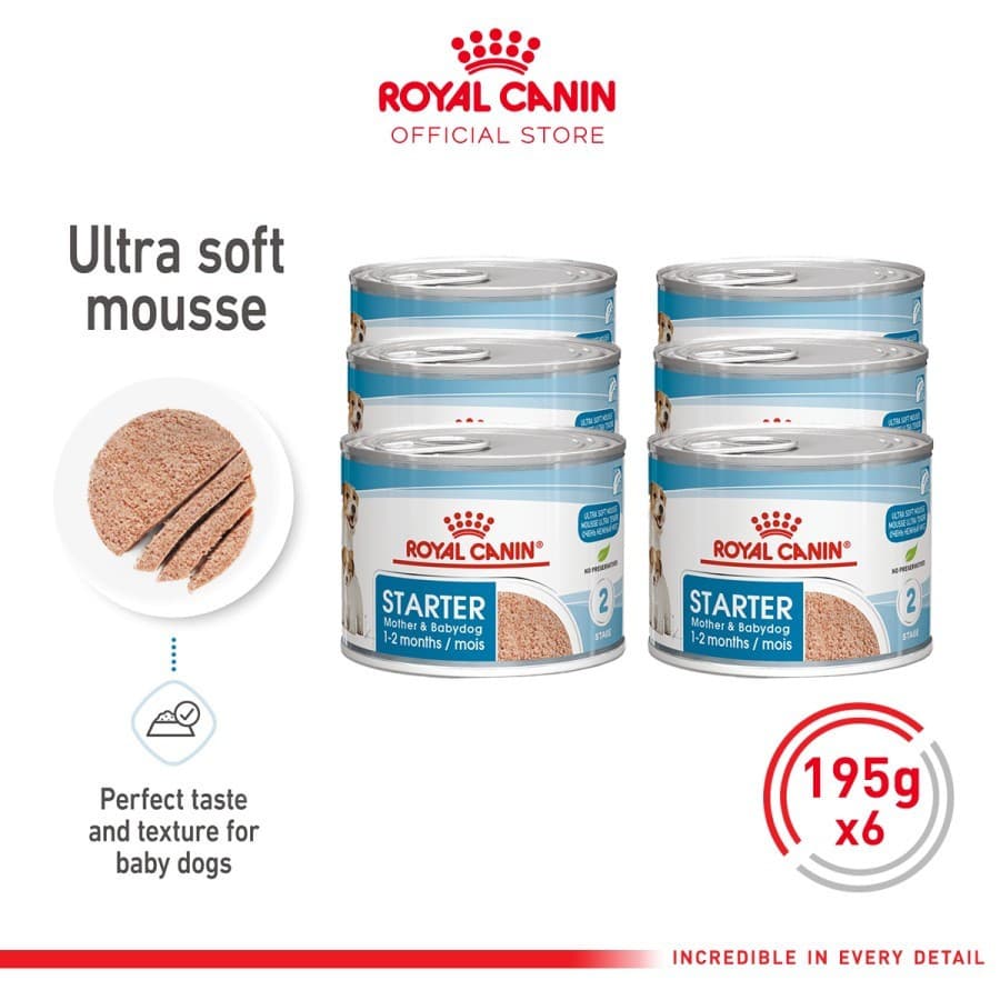 Royal Canin Mini Starter Mother & Baby Dog Wet Food/Mousse — gambar 1