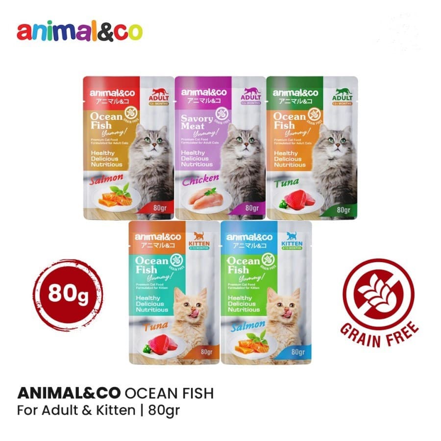 Animal&Co Pouch Kitten Adult 80g — gambar 1