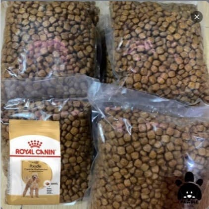 Poodle Adult 500g Makanan Anjing Premium Original Repack — gambar 1