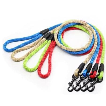Medium Large Dog Leash Tali Tuntun Anjing Colorful — gambar 1