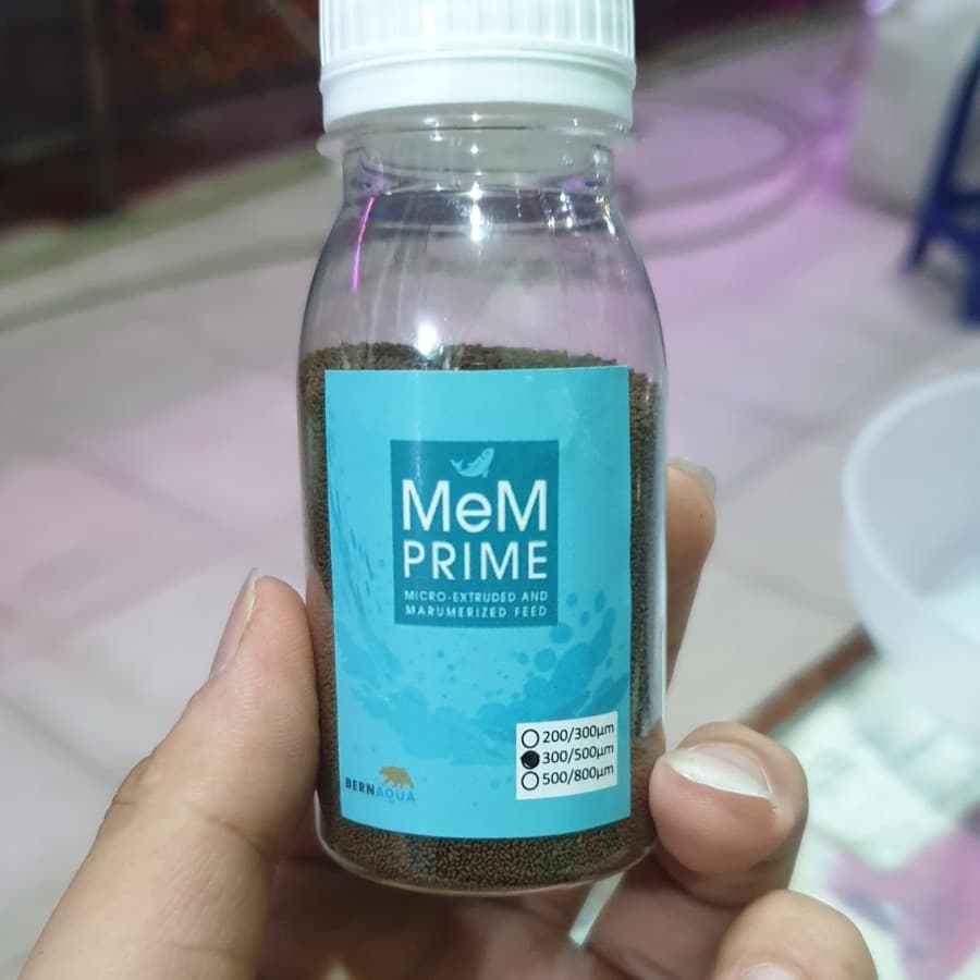 MeM Prime 300-500 Micron — gambar 1