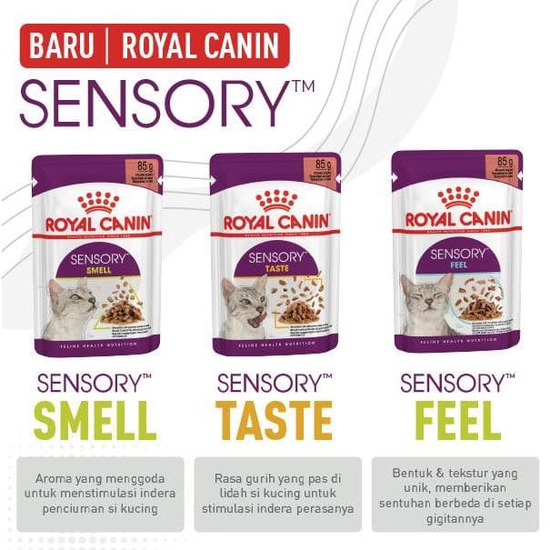 Royal Canin Sensory Wet Food Pouch Taste Feel Smell — gambar 1