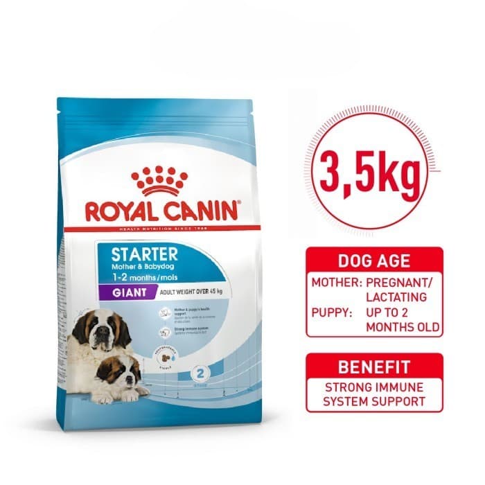 Royal Canin Giant Starter Mother&Babydog - Makanan Ibu dan Anak Anjing — gambar 1