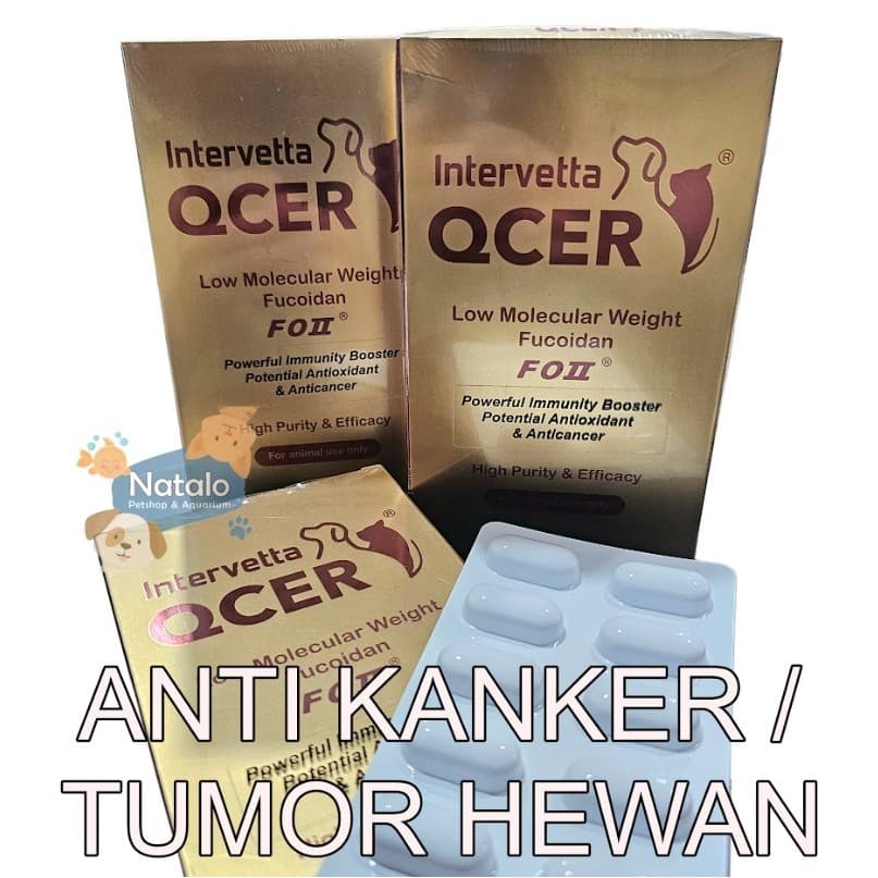 Obat Anti Kanker — gambar 1