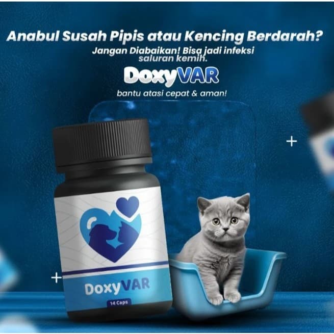 DoxyVAR 14 Capsul — gambar 1