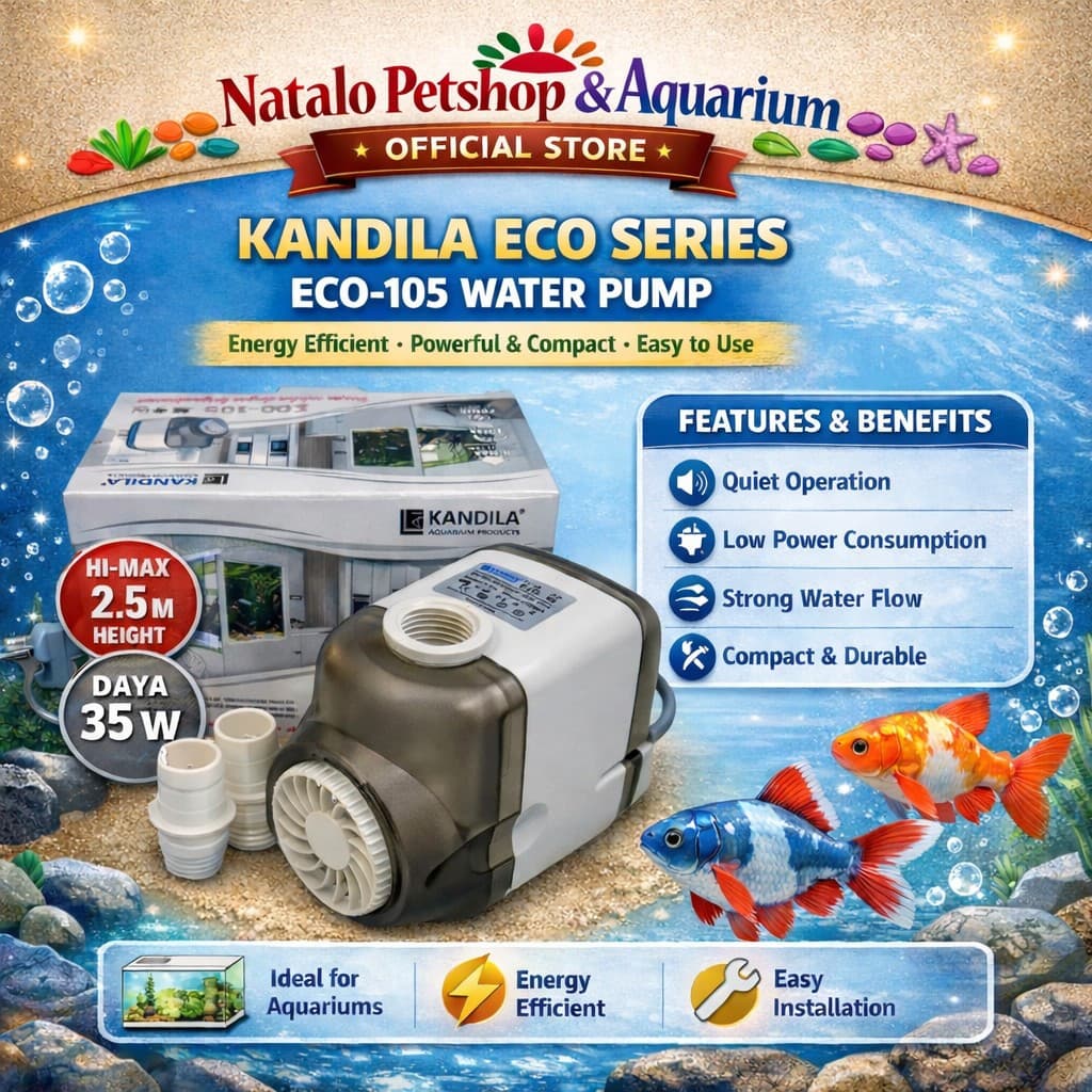 Kandila Eco 105 — gambar 1