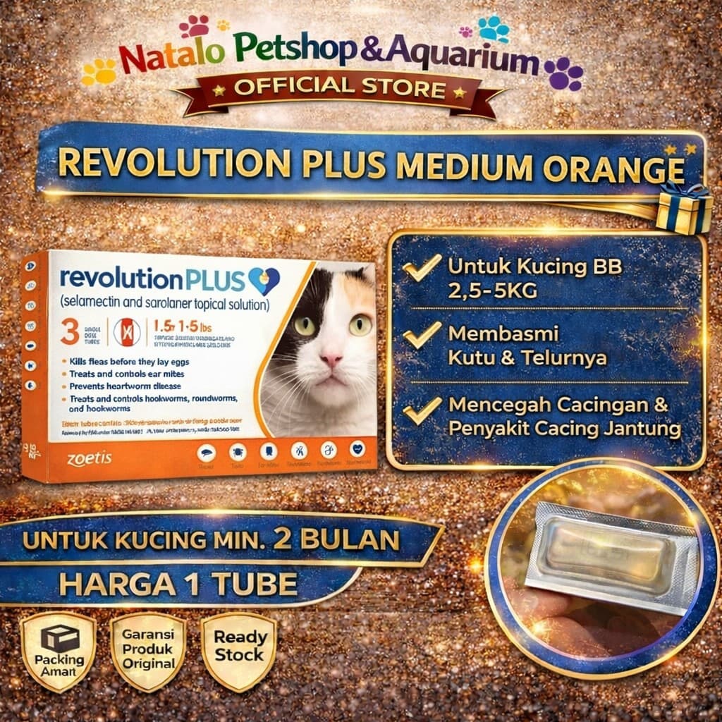 Revolution Plus Orange Medium Cat — gambar 1