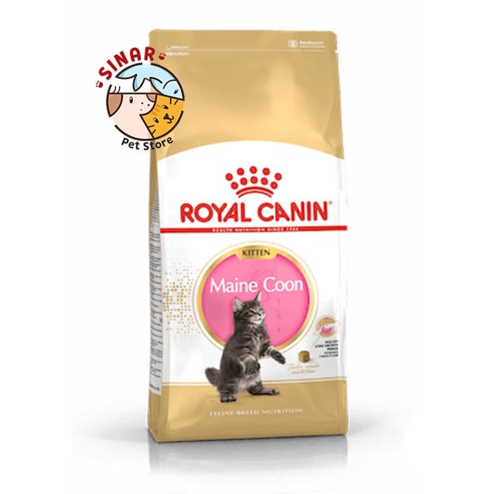 Royal Canin MaineCoon Kitten 4kg Maine coon Makanan Anak Kucing Ras — gambar 1