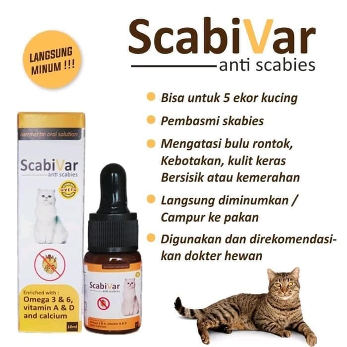 Scabivar Obat Scabies — gambar 1