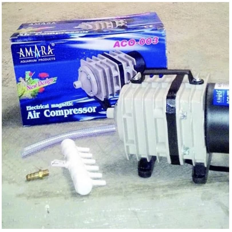 Amara Aco 003 — gambar 1
