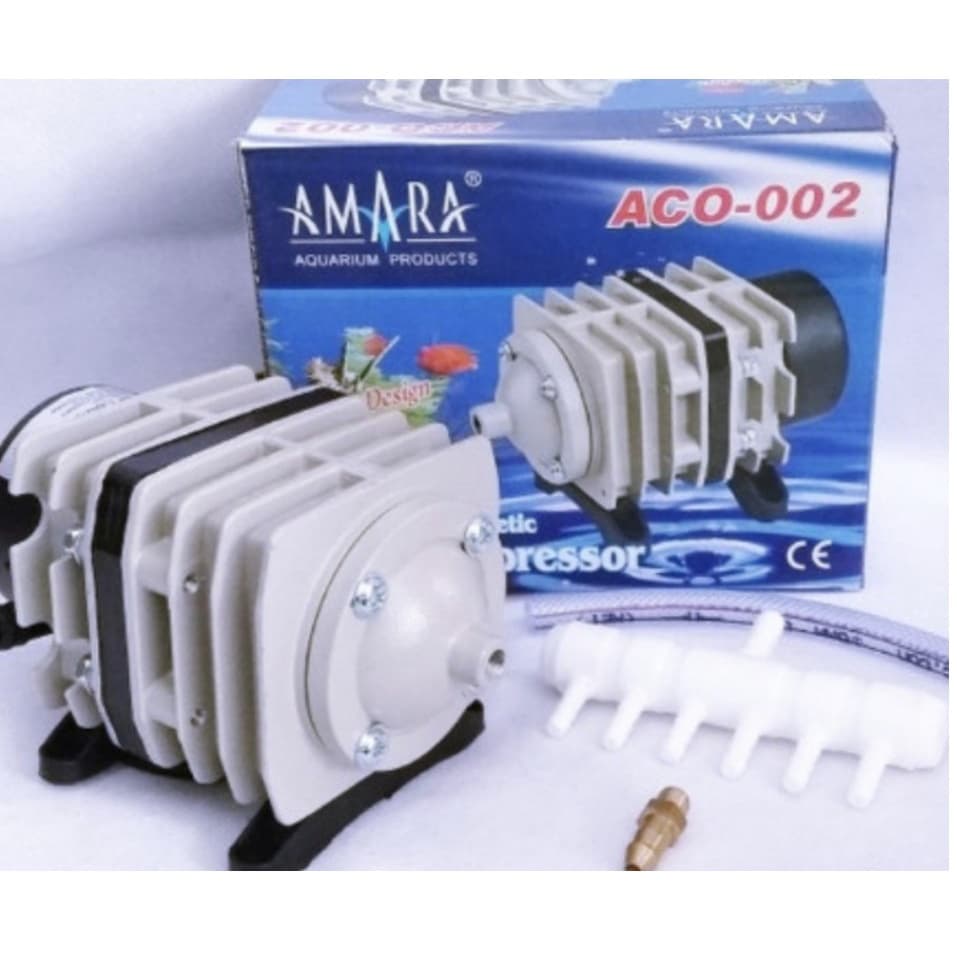 Amara Aco 002 — gambar 1