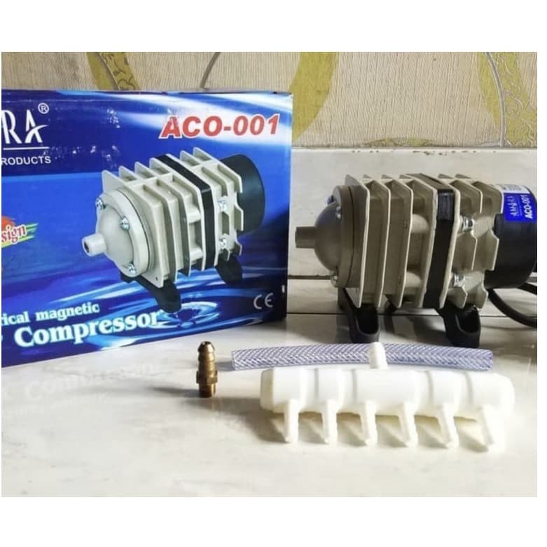 Amara Aco 001 — gambar 1