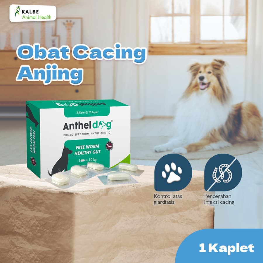 Anthel Dog 1 Tablet - Obat Cacing Anjing ORIGINAL KALBE - gambar 1