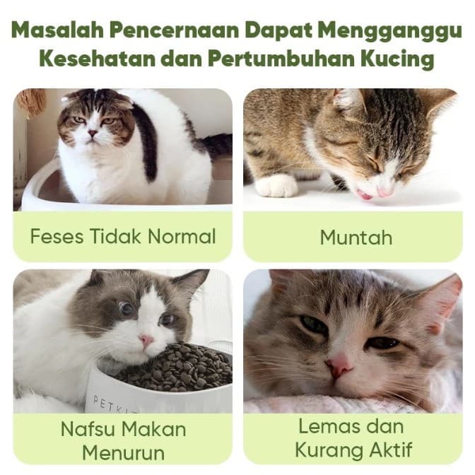 Majes Magic Bites Grassland Quail 1KG Digestive Support - Makanan Kucing Kering Kesehatan Pencernaan Sehat dengan Probiotics Probiotik - gambar 2