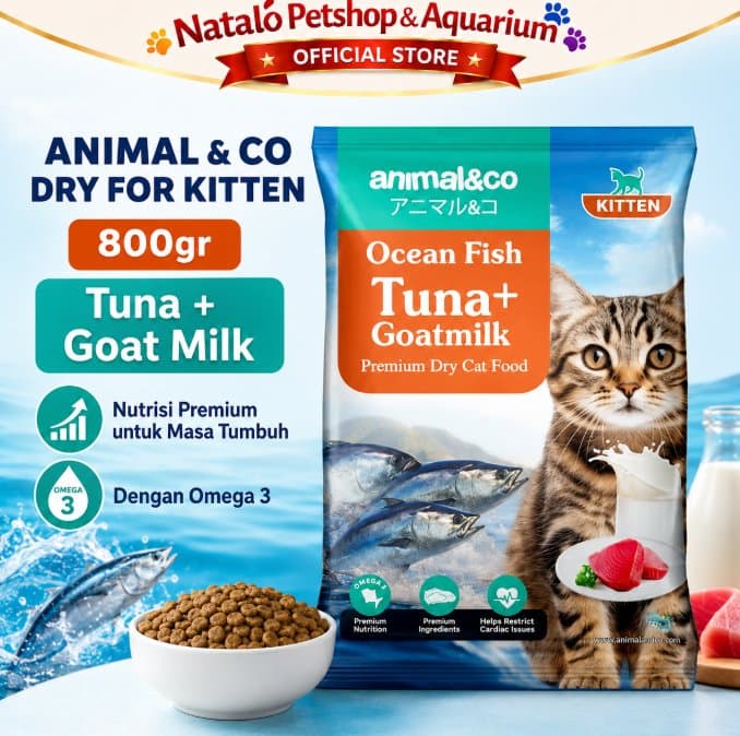 Animal&Co Kitten 800GR Ocean Fish Tuna with Goat Milk Premium Dry Cat Food 800 GR - Makanan Kucing Anakan Animal n Co - gambar 1
