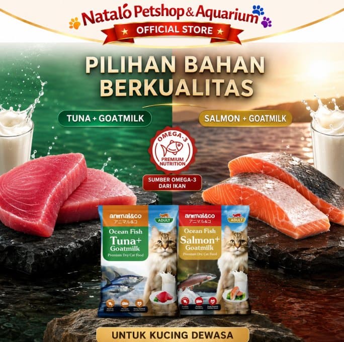 Animal&Co Adult 800GR Tuna / Salmon - Ocean Fish with Goat Milk Premium Dry Cat Food 800 Gr - Makanan Kucing Dewasa Kering Kibble Animal n Co - gambar 4