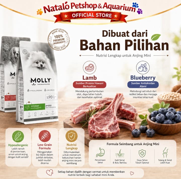 Molly Dog Food 2KG Super Premium Mini Adult / Puppy Lamb Dry Kibble Makanan Anjing Kering untuk Anak dan Dewasa ras Kecil Small Breed rasa Domba 2 KG - gambar 4