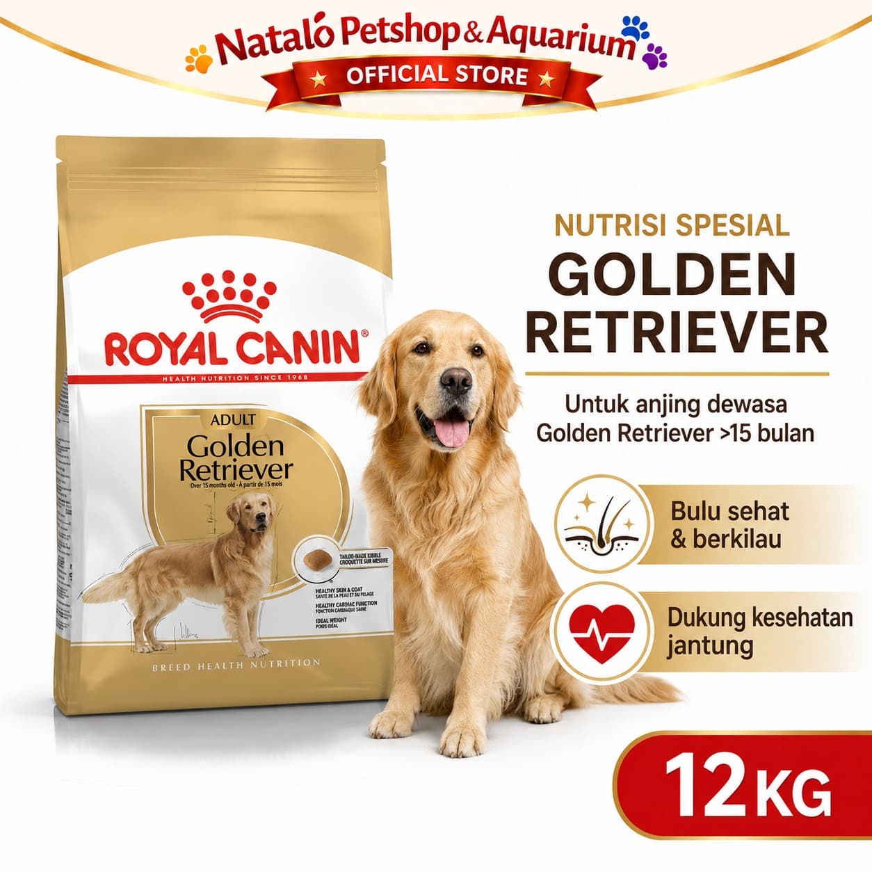 Royal Canin Golden Retriever Adult 12KG - Makanan Anjing Ras Besar 12 KG - gambar 1