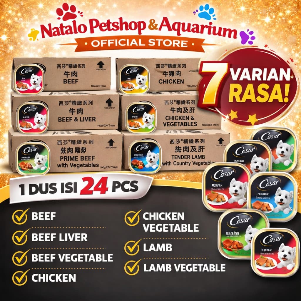 Cesar Dog Wet Food GROSIR 1 DUS isi 24 PCS - Makanan Basah Anjing Dewasa Super Premium - gambar 1