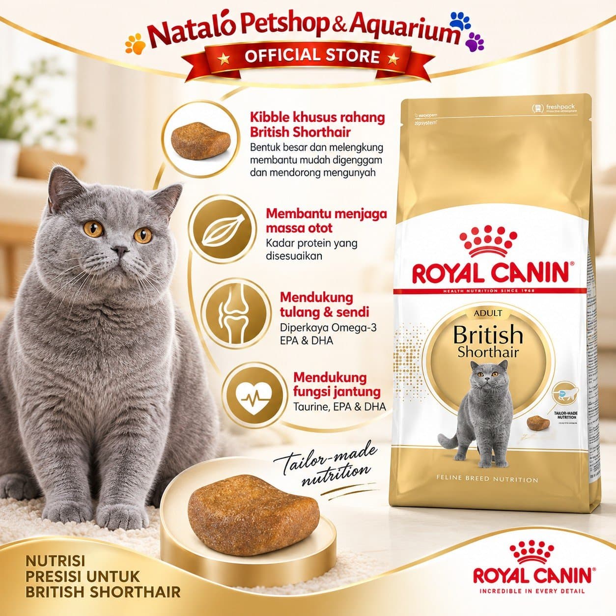 Royal Canin Adult British Shorthair 4KG Dry Cat Food - Makanan Kucing Dewasa Ras Britis 4 KG - gambar 2
