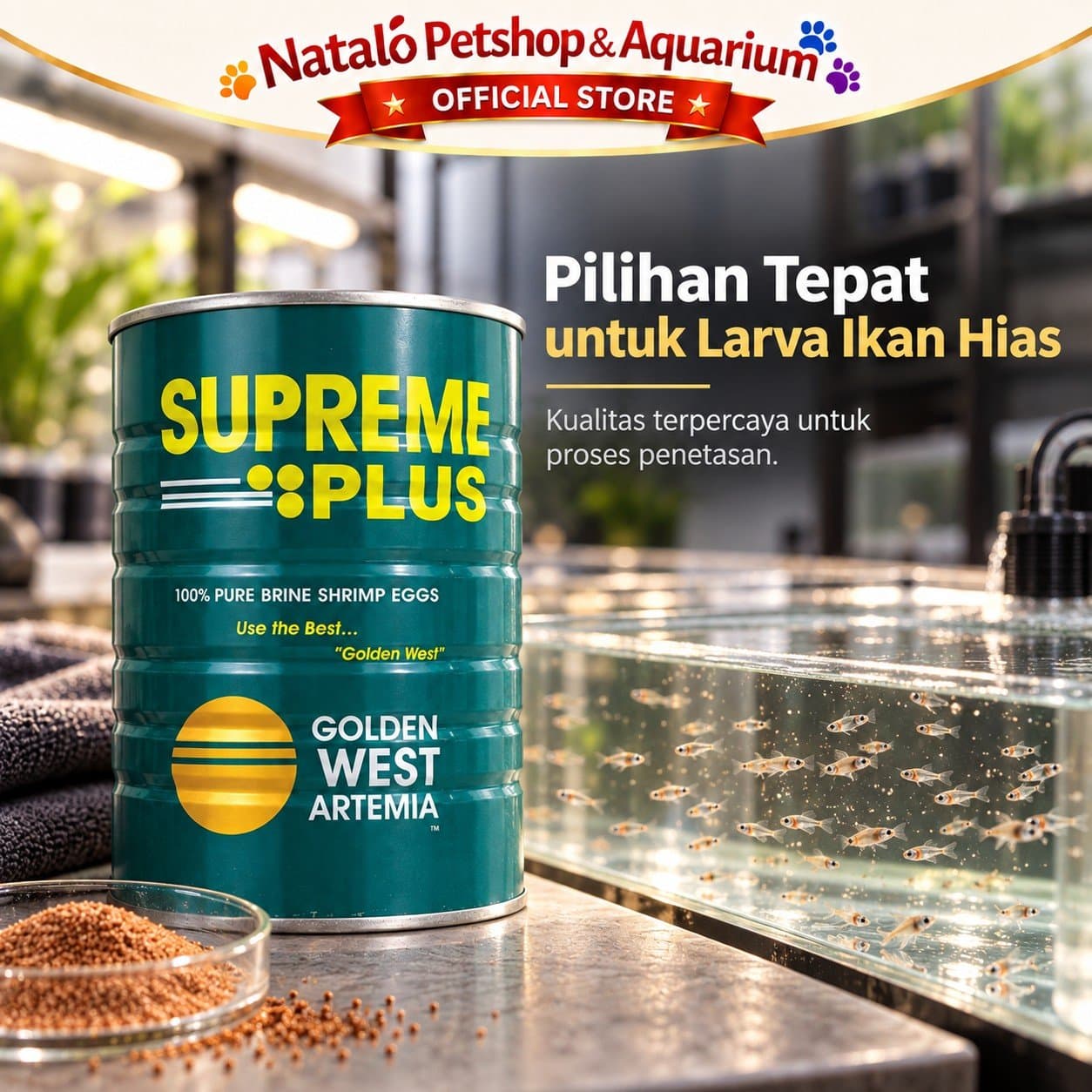 Artemia Supreme Plus 425Gr / Golden West - Makanan Pakan Udang Air Asin Berkualitas Tinggi yang Kaya Protein (63%-65%) dan sangat Ideal untuk Burayak / Larva Ikan Hias 425 GRAM - gambar 5