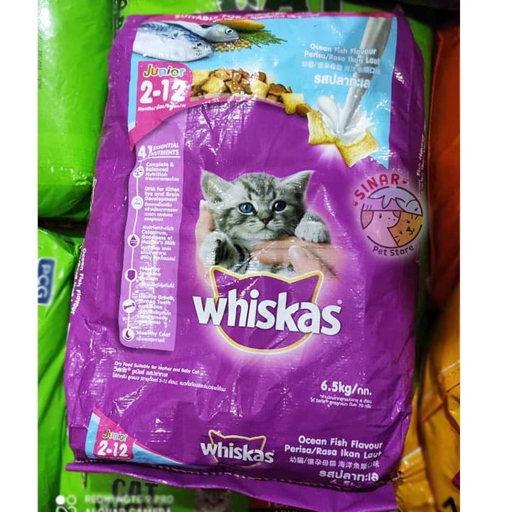 Whiskas Junior Ocean Fish 6.5KG Dry Kitten Food Makanan Anak Kucing - gambar 1