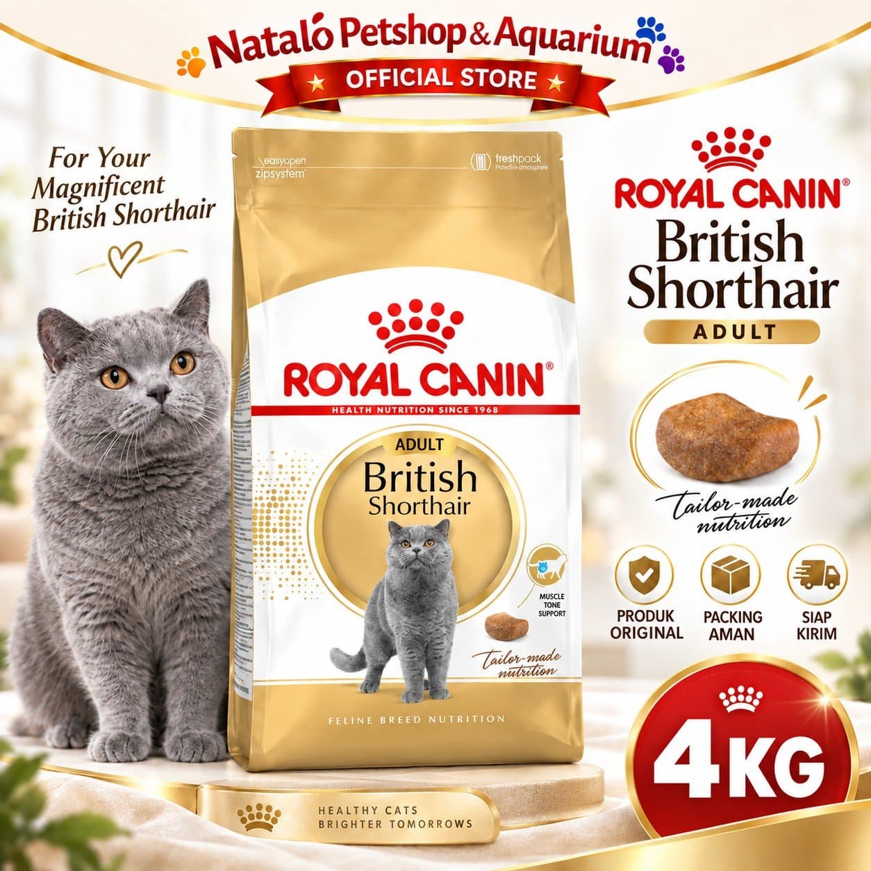 Royal Canin Adult British Shorthair 4KG Dry Cat Food - Makanan Kucing Dewasa Ras Britis 4 KG - gambar 1