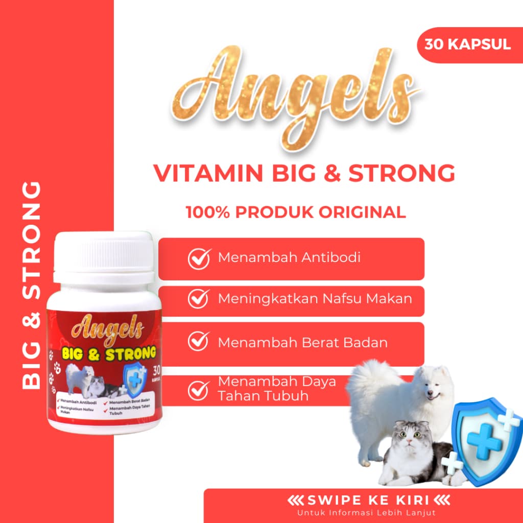 Angels Big & Strong Vitamin 30 Capsul Penggemuk Badan Kucing Anjing Suplemen Body Fat Cat Dog Gemuk - gambar 1