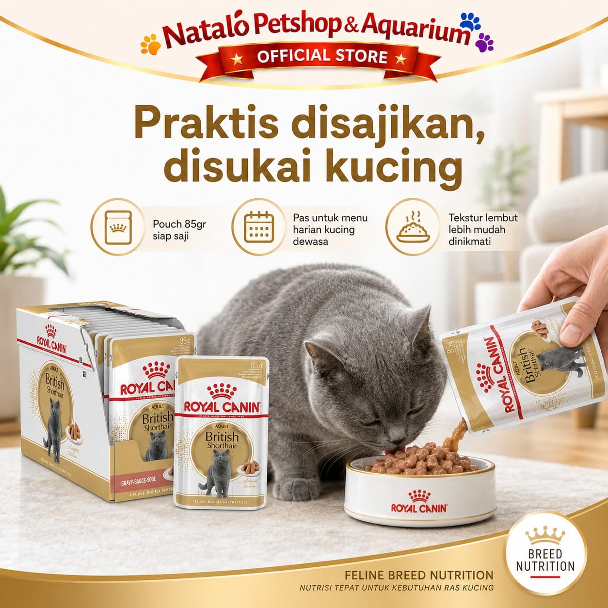 Royal Canin Adult British Shorthair Pouch Wet Food 1 BOX isi (12pcs X 85gr) - Makanan Basah Saset Kucing - gambar 5