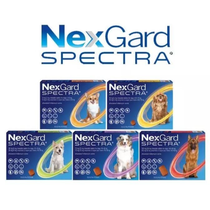 NEXGARD SPECTRA for Dog HARGA UNTUK 1 BUTIR - Obat Kutu Anjing Original - Anti Kutu Caplak Cacing Demodex - Obat Oral Makan - Chewable Tablet / for Small Medium Large / Besar Kecil - gambar 1
