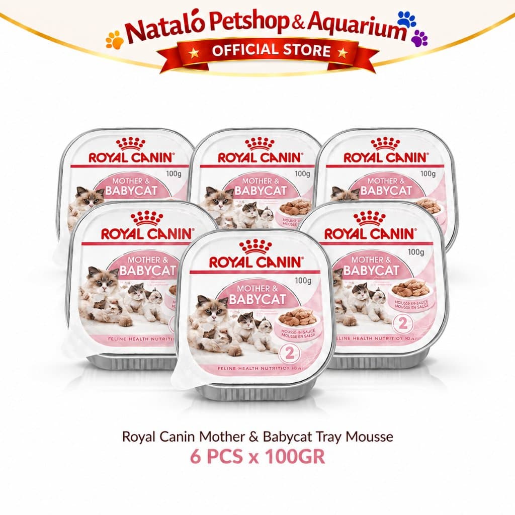 6 PCS x ROYAL CANIN MOTHER BABY CAT TRAY 100GR X6 Mousse - LEBIH HEMAT - Wet Kitten Cat Food - Makanan Basah Ibu dan Anak Kucing dapat 6 biji - gambar 7